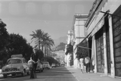 France, Menton, Avenue Boyer., 1964, Faragó György, street view, palm tree, Fortepan #261892