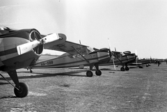 PZL-101A Gawron típusú repülőgépek., 1966, MHSZ, sport, közlekedés, repülőgép, repülőtér, PZL-márka, PZL-101 Gawron, Fortepan #26190