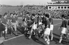 Magyarország, Népstadion, Budapest XIV., Vasas - CDNA Sofia 6:1 (2:1) labdarúgó bajnokcsapatok Európa Kupája visszavágó mérkőzés., 1957, Faragó György, virágcsokor, labdarúgás, Budapest, Fortepan #261935