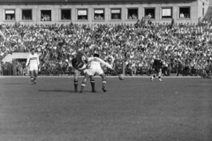 Magyarország, Népstadion, Budapest XIV., 1957. szeptember 22. Magyarország - Szovjetunió 1:2, barátságos válogatott labdarúgó-mérkőzés. Lenkei (11) harcol a labdáért, balra Machos figyeli a játékot., 1957, Faragó György, Budapest, labdarúgás, Fortepan #261942