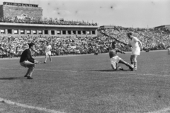 1965, Faragó György, futballcsapat, futballpálya, stadion, Fortepan #261989