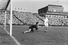 1965, Faragó György, futballcsapat, futballpálya, kapus, stadion, kapu, Fortepan #261993