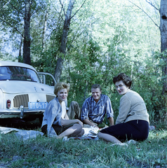 1963, Faragó György, Renault Dauphine, rendszám, színes, Fortepan #262049