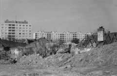 Magyarország, Óbuda, Budapest III., a Szőlőkert utca (megszűnt) - Kiscelli utca - Pacsirtamező (Korvin Ottó) utca határolta bontási terület, háttérben a Vörösvári út - Kórház utca közötti házak láthatók., 1972, Gyulai Gaál Krisztián, épületbontás, Budapest, Fortepan #262157