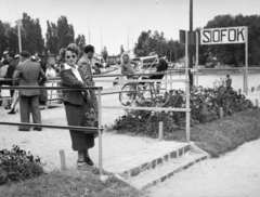 Magyarország,Balaton, Siófok, kikötő., 1954, Gyulai Gaál Krisztián, napszemüveg, kikötő, korlát, Fortepan #262200