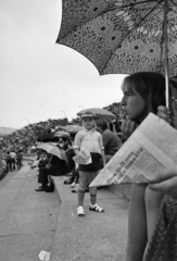 Magyarország, Miskolc, DVTK-stadion, Rockfesztivál., 1973, Gyulai Gaál Krisztián, Best of, Fortepan #262654