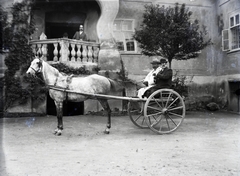 Romania,Transylvania, a felvétel a Mara-udvarház előtt készült., 1906, Borza család, bowler hat, Horse-drawn carriage, glasses, erroneous photo, Fortepan #262992