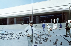 Olaszország, Velence, a felvétel a Santa Lucia vasútállomás előtt készült (Stazione di Venezia Santa Lucia)., 1960, Szűcs Attila, színes, galamb, Fortepan #263148