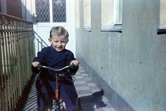 1954, Kovács Györgyi, portrait, colorful, smile, kids' tricycles, kid, Fortepan #263388