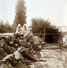 Magyarország,Balaton, Siófok, Balaton-part, háttérben jobbra fürdőházak., 1914, Zichy kúria, Zala, Fortepan #263608