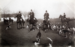 1916, Zichy kúria, Zala, dog, hunting, Fortepan #263897