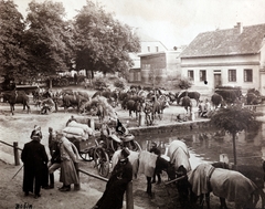 Csehország, Bošín, 1917, Zichy kúria, Zala, Fortepan #263950