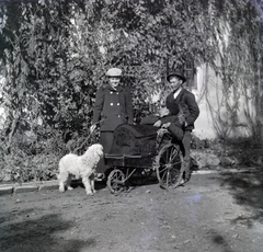 1916, Zichy kúria, Zala, dog, disabled, wheelchair, Fortepan #263991