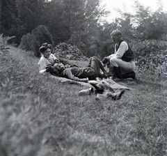 1916, Zichy kúria, Zala, dog, disabled, excursion, Fortepan #263994