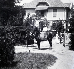 1912, Zichy kúria, Zala, women's saddles, Fortepan #264005