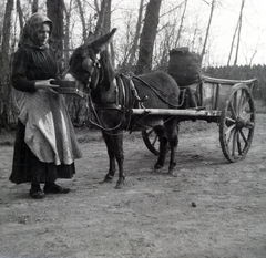 1912, Zichy kúria, Zala, donkey, cart, Fortepan #264009