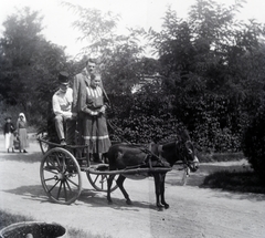 Hungary, a felvétel Zichy-kúria parkjában készült., 1912, Zichy kúria, Zala, donkey, three people, peeking, Fortepan #264010