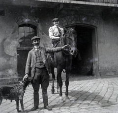 1906, Zichy kúria, Zala, Best of, dog, hunting dog, women's saddles, horse, stable, tie, horsewhip, Fortepan #264015