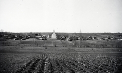 Hungary, szemben a Zichy Mihály utcánál a Bűnbánó Magdolna-templom, a felvétel a Rákóczi utca közeléből készült., 1914, Zichy kúria, Zala, village, vernacular architecture, church, picture, field, landscape, thatch roof, Fortepan #264078