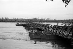 Magyarország, a magyar csapatok szlovákiai bevonulására építik Medve felé vezető pontonhidat a Dunán., 1938, Nagy István, Nagy József, Duna, bevonulás, medve, pontonhíd, Fortepan #264138