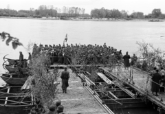 Magyarország, ponton a Duna-partnál, a magyar csapatok szlovákiai bevonulására készített Medve felé vezető pontonhíd építésekor., 1938, Nagy István, Nagy József, bevonulás, medve, Duna-part, Fortepan #264143