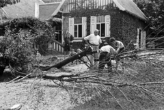 Magyarország, Győr, Mosoni-Duna-part a Rába torkolatánál, a felvétel a Győri Iparosok Csónakázó Egylet (GyICsE) csónakháza előtt készült., 1938, Nagy István, Nagy József, favágás, Fortepan #264185