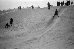 Magyarország, Győr, Sziget városrész, szánkózók a Mosoni-Duna töltésén, háttérben a Töltésszer utca házainak tetőzete látható., 1938, Nagy István, Nagy József, szánkó, Fortepan #264188