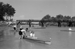 1938, Nagy István, Nagy József, Fortepan #264225