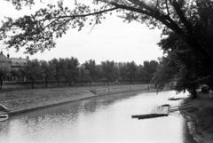 Magyarország, Győr, kilátás a Kettős hídról déli irányba, jobbra a Radó-sziget., 1939, Nagy István, Nagy József, folyópart, stég, árvízvédelem, Fortepan #264277