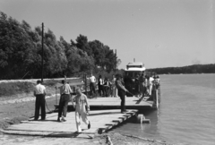 Szlovákia, Duna-part, a Győr és Galánta között közlekedő MÁVAUT autóbuszjárat a Szigetköz és Medve közötti kompon., 1939, Nagy István, Nagy József, komp, Fortepan #264296