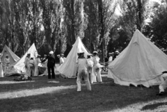 Magyarország, Győr, a Hitlrjugend westfáliai tengerészalakulatának tábora. A felvétel 1939. augusztus 20-án készült., 1939, Nagy István, Nagy József, sátor, tengerész, Fortepan #264336