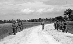 Magyarország, Sárszentmihály, a felvétel a település határában készült, szemben a református templom tornya látható., 1940, Nagy István, Nagy József, MKHL, Fortepan #264380