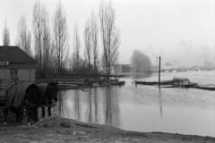 Magyarország, Győr, a Mosoni-Duna és a Rába összefolyása. Háttérben a Cziráky-emlékmű az uszoda területén. A felvétel a Rábán 1940. márciusában levonuló jeges ár idején készült., 1940, Nagy István, Nagy József, árvíz, Fortepan #264415