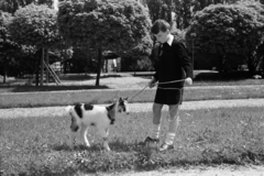 1941, Nagy István, portrait, boy, goat, Fortepan #264457