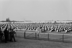 Magyarország, Győr, ETO-sporttelep, győri népiskolák sport- és tornaünnepsége 1942. május 17-én, 1942, Nagy István, Nagy József, Fortepan #264491