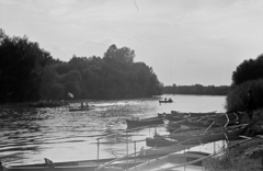 1941, Nagy István, water tour, Fortepan #264513