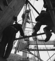 Magyarország, Budapest, az Erzsébet híd építése, a leszakadt déli szerelőszőnyeg., 1963, Bambi, baleset, építkezés, hídépítés, vasszerkezet, Fortepan #26473