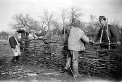 1942, Ladinek Viktor, keleti front, gallykerítés, Fortepan #264745