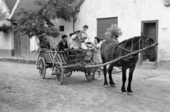 Magyarország, Bátaszék, 1958, Horváth József, család, kézben tartani, földút, szekér, Fortepan #264970