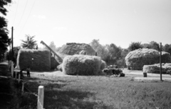 1941, Horváth József, harvest, stack, straw, Fortepan #265002