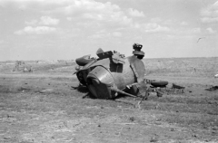 Ukraine, 1941, Horváth József, armoured car, wreck, eastern front, Fortepan #265223