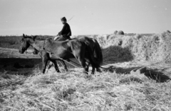 Ukrajna, 1941, Horváth József, keleti front, Fortepan #265272