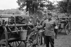 Magyarország, sebesültszállítást gyakorló katonák. A dr. Frank orvos tábornok tervezte, hordágyfüggesztővel felszerelt, országos jármű / katonai célokra kifejlesztett, alkatrészeiben szabványosított faanyagú, lóvontatta szekerek., 1940, Horváth József, szekér, vödör, vöröskereszt, karszalag, lovaskocsi, Fortepan #265379