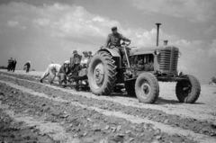 1961, Horváth József, tractor, agriculture, Fortepan #265715