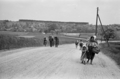 1957, Horváth József, család, kislány, kosár, batyu, országút, ló, Fortepan #265734