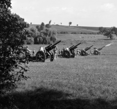 Magyarország, Bag, hadgyakorlat a Csintoványi dűlőben, távolabb a 3. számú főút látható., 1939, Horváth József, tüzérség, ágyú, löveg, libasor, Fortepan #265920