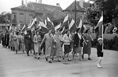 Magyarország, Kőszeg, Fő (Köztársaság) tér, május 1-i felvonulás., 1959, Baráth Endre, zászló, felvonulás, május 1, Fortepan #26615