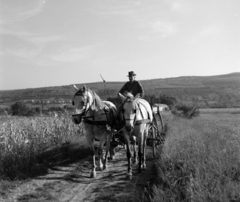 1960, Szilvási hagyaték, lovaskocsi, Fortepan #266365