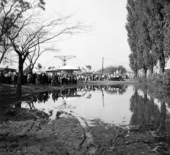 1963, Szilvási hagyaték, Fortepan #266377