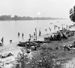 Magyarország, Szigetmonostor, Horány, a felvétel a Vörös Meteor Erdei Telep előtti Duna-parton készült., 1966, Szilvási hagyaték, Fortepan #266392